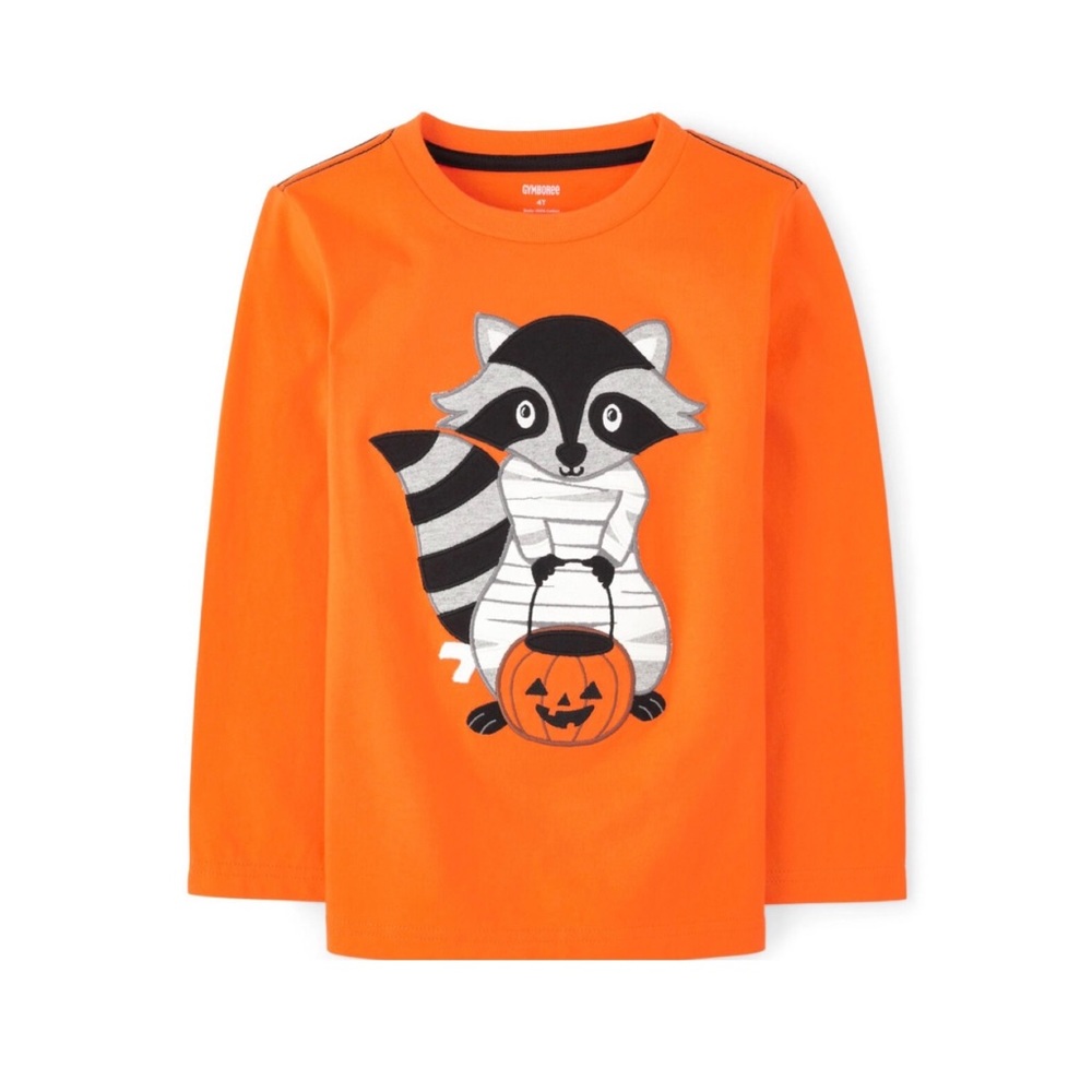 📌Gymboree • Embroidered • Raccoon Mummy •Shirt
